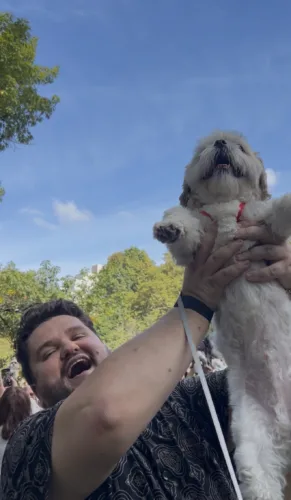 A party that's for the dogs